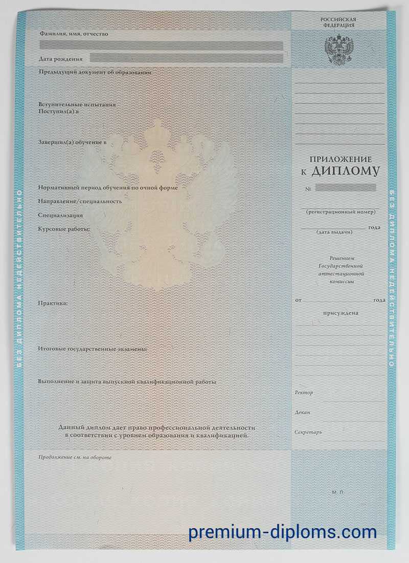 Диплом специалиста 2009-2011 год фото